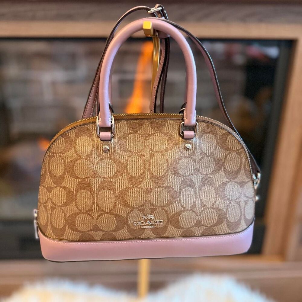 Coach Women's Brown and Tan Bag